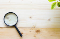 ワイヤー矯正の治療費を少しでも抑えたいときの3つの選択肢